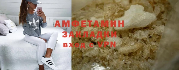 индика Вяземский